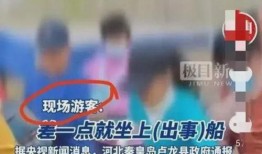 滑县爆料录音事件真相视频,真相与真相背后的真相