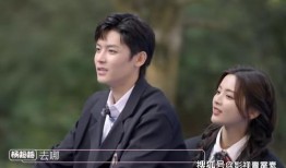 爆料吧娱乐圈,揭秘明星幕后故事与真实生活